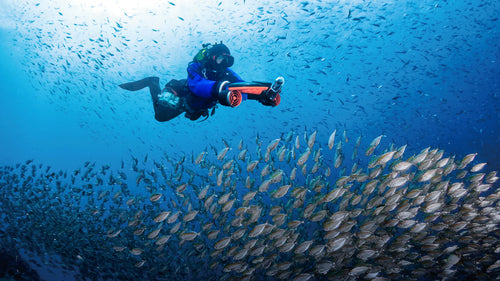 Easy sharing of underwater recording